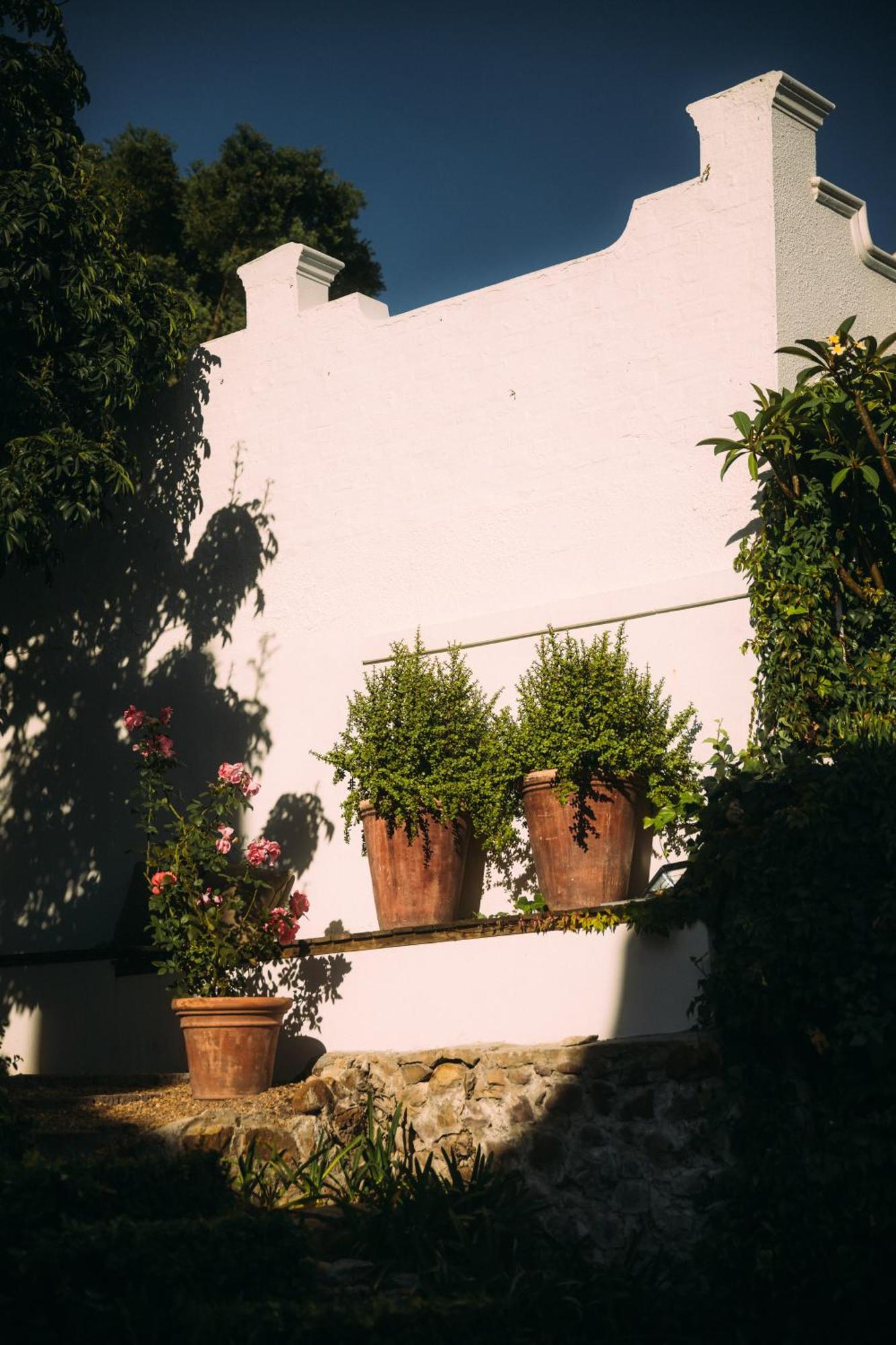 Acorn House Bed & Breakfast Cape Town Exterior foto