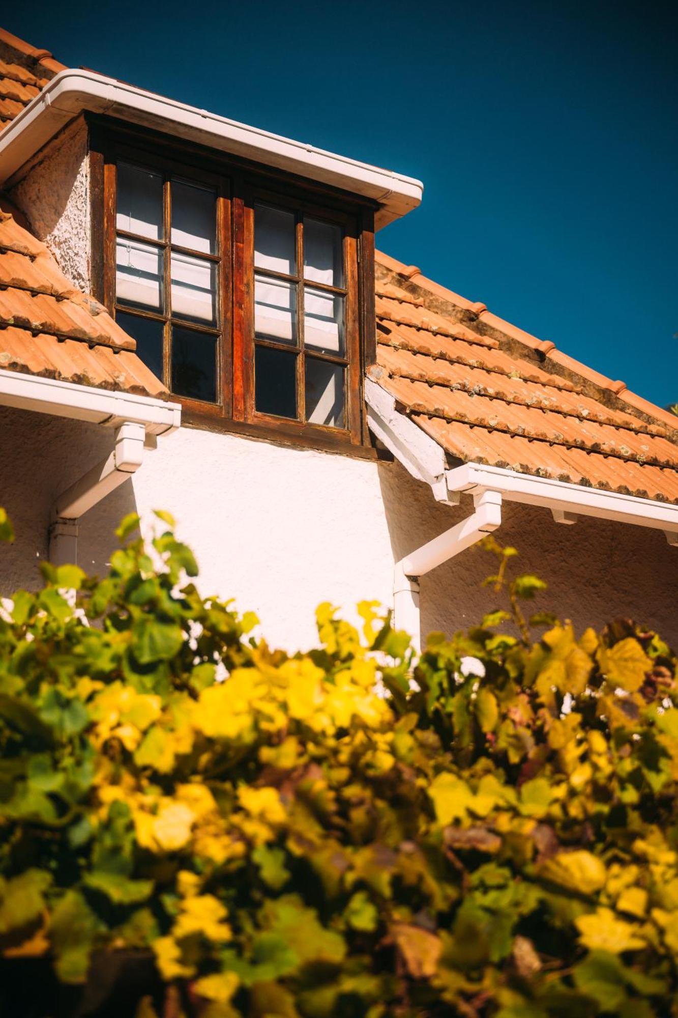 Acorn House Bed & Breakfast Cape Town Exterior foto