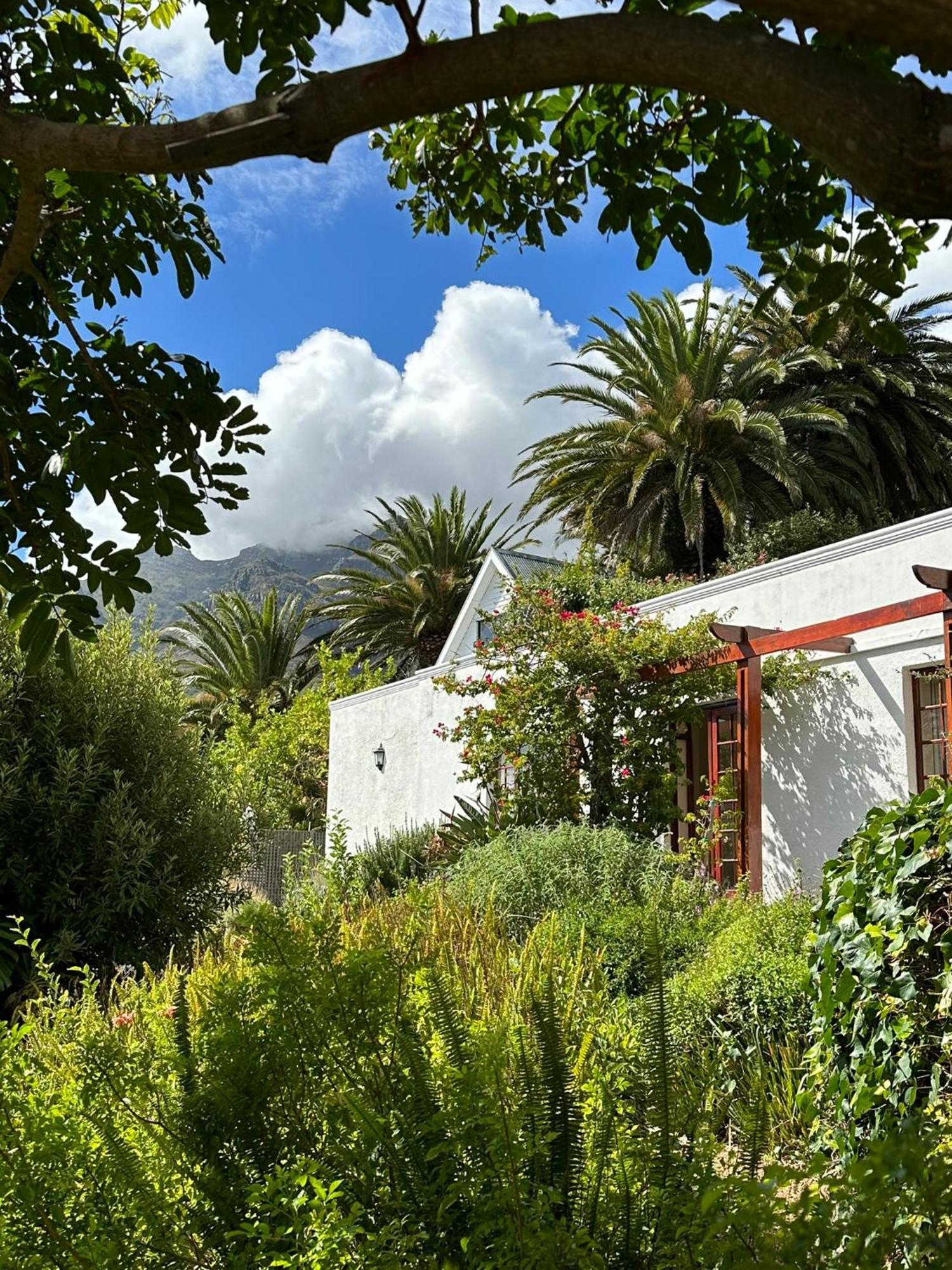 Acorn House Bed & Breakfast Cape Town Exterior foto